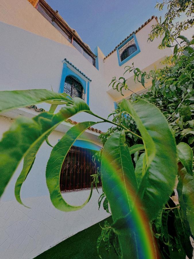 Auberge Dalia Chefchaouen Esterno foto