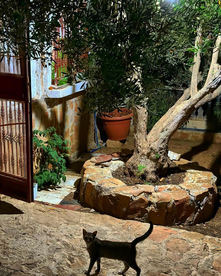 Auberge Dalia Chefchaouen Esterno foto